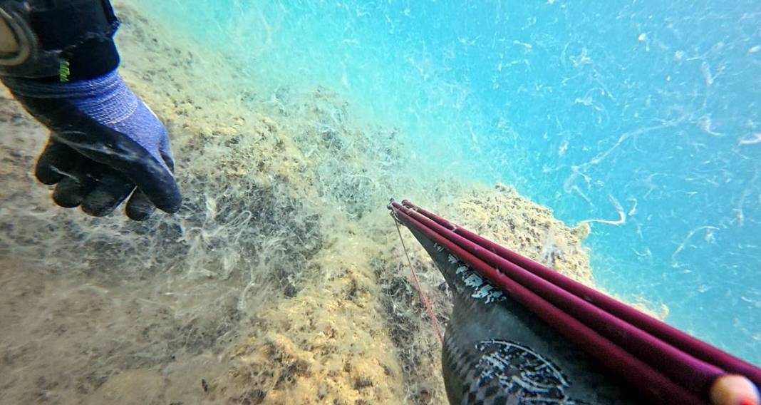 Müsilajla mücadele etmeleri için o bölgeye öbek öbek yerleştiriliyor! Bakanlık, sanayi, üniversite, TÜBİTAK işbirliği 6